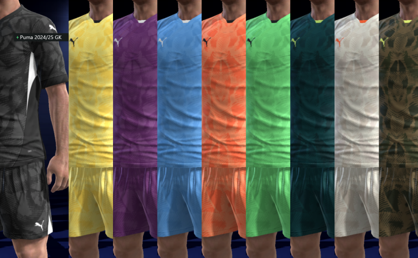 Kit: Puma 2024 – 2025 GK Template